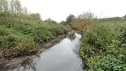 River Beam in Beam Valley Country Park