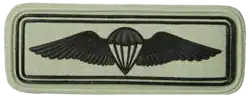 Free Fall Paratrooper