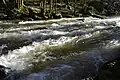 The rapids of the Saut du Chalard in the Dronne river near Champs-Romain