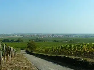 The village viewed from the vineyard