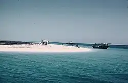 A diver swimming alongside a large sea turtle.