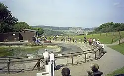 Sea Lion Rock, a pool with sea lions and a keeper, and people watching from the surrounding fence
