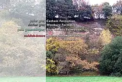 Layering of rocks in the cliffs at Sedbury.