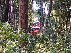 Side View of Kalika Bhagawati Temple through forest