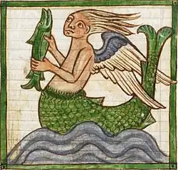Siren in the bestiary, British Library, MS 3244