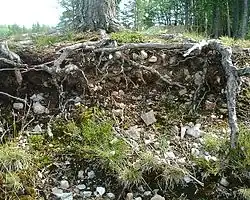 Burned rocks in northern Jämtland