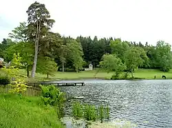 A lake surrounded by trees