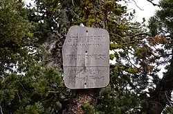 A wooden sign mounted to a tree trunk. The sign reads "Strawberry Mountain Wilderness; Malheur National Forest"