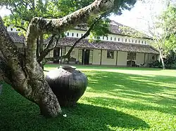 Sunethra Bandaranaike's residence at Horagolla