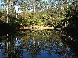 Tamborine Mountain Botanic Gardens