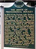 The Birth of Professional Hockey