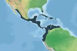 Distribution range of C. acutus (green = terrestrial range; horizontal lines = marine range).