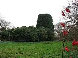Remains of Church of St Edmunds