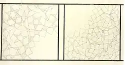 Medieval architect's plan of two muqarnas vaults, from the Topkapı Scroll