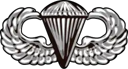 Airborne Badge