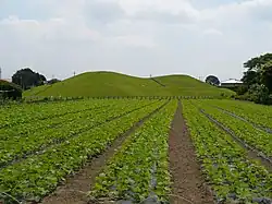 Watanuki Kannonyama Kofun