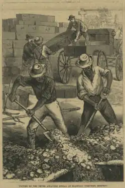 Yellow Fever Burials at Elmwood Cemetery