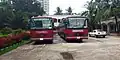 The college buses