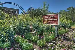 "Mr. Cason's Vegetable Garden