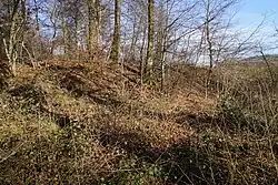 The Buissons-Brûlé slag heap