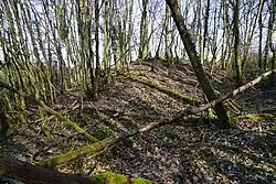 Saint-Pierre shaft slag heap