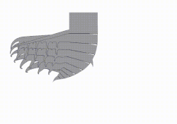 Frontal appendage showcasing range of motion