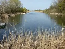 Landscape near Szigetszentmiklós