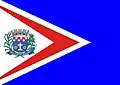 Flag of São João de Iracema