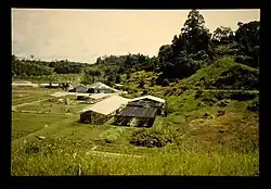 Birau Research Station in 1989