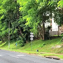 PR-177 west near PR-8177 intersection in Frailes, Guaynabo