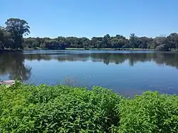 Thick bright green bushes grow on the near shore of a small, clear lake; trees stand on the far shore.