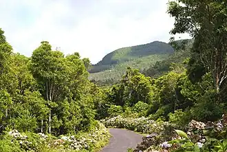 A roadway in the foothills of Santa Bárbara in the parish of Serreta