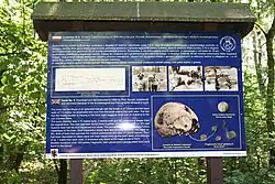 Photographs of findings and research