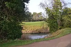 Frilford Heath, Ponds and Fens