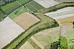 A line of greenery cutting through numerous fields