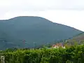 Hochberg near St. Martin (Palatinate): View from the Weinstraße looking west