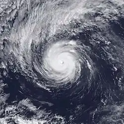 A satellite image of a powerful hurricane over the Eastern Pacific Ocean, with a cloudy but well-defined eye, a central region of deep convection marked by thick clouds, and several spiral bands; a large arc of thin high clouds is fanning out to the northwest of the hurricane