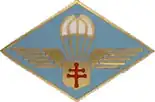 Para Chasseur Company of Free French Forces (F.F.L)