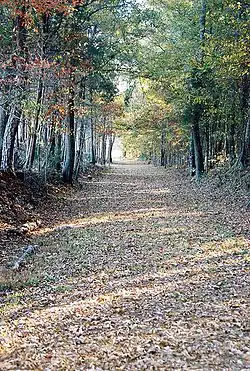 Island Ford Road is one of the many original Colonial road beds that cross various trails throughout the park