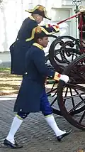 Royal Footmen at The Hague, Netherlands, in 2010.