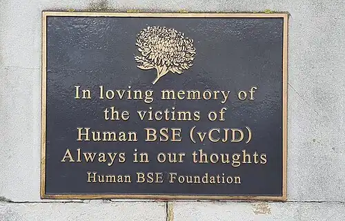 A plaque with gold letters on a black background saying "In loving memory of the victims of Human BSE (vCJD) – Always in our thoughts – Human BSE Foundation"