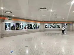 A series of photographs lined up against the wall.