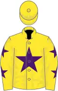 Yellow, purple star, yellow sleeves, purple stars