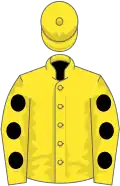 Yellow, black spots on sleeves