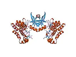 1fvr: TIE2 KINASE DOMAIN