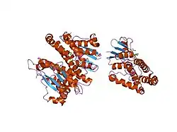 1xwk: 2.3 angstrom resolution crystal structure of human glutathione S-transferase M1A-1A complexed with glutathionyl-S-dinitrobenzene