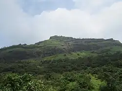 Fort