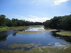 Ross River in the River Way park.