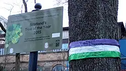 With a Suffragette tricolour band.