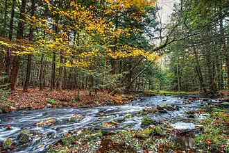 Stream in the hamlet of Rock Hill